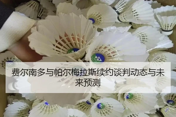 费尔南多与帕尔梅拉斯续约谈判动态与未来预测